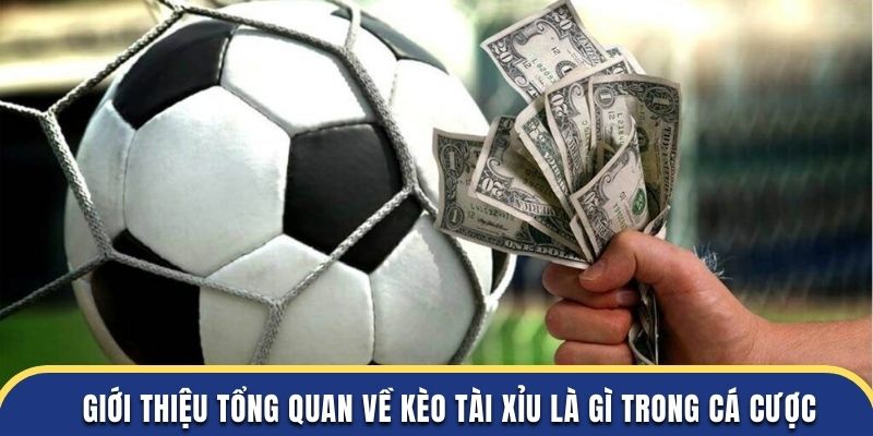 Giới thiệu tổng quan về kèo tài xỉu là gì trong cá cược