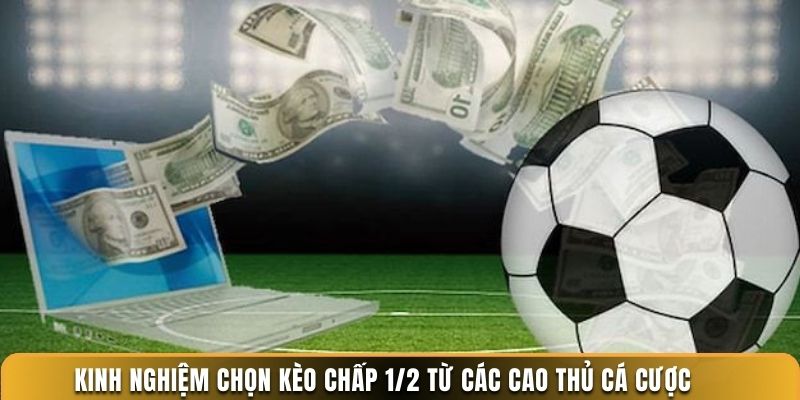 Kinh nghiệm chọn kèo chấp 1/2 từ các cao thủ cá cược